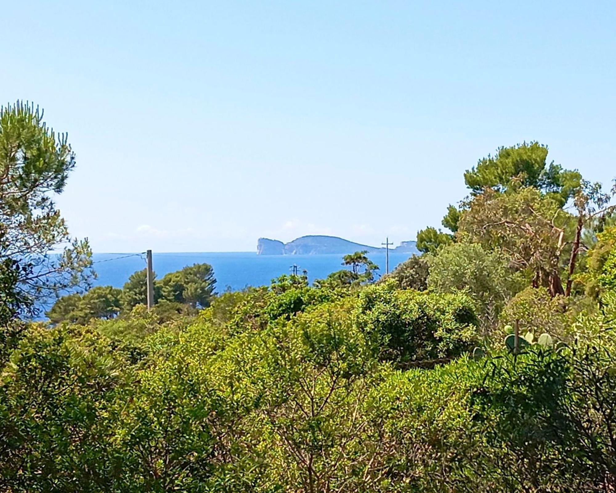 Alghero Villa Barranch With Sea View Swimming Pool For 6 People Bagian luar foto